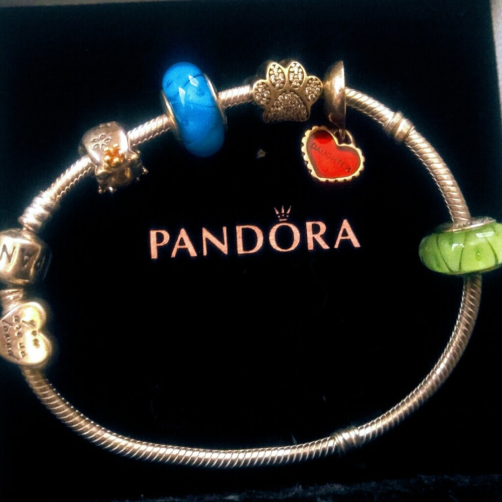 Pandora charm bracelet